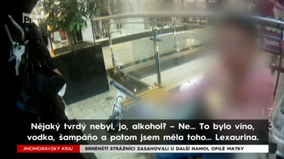 14. 9. 2017 KRIMI: BRNĚNŠTÍ STRÁŽNÍCI ZASAHOVALI U DALŠÍ NAMOL OPILÉ MATKY